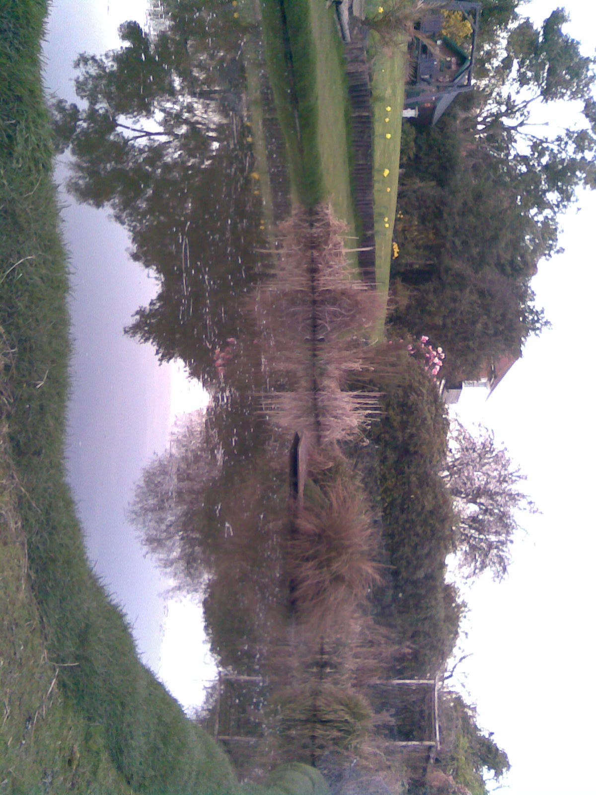 Image001.jpg