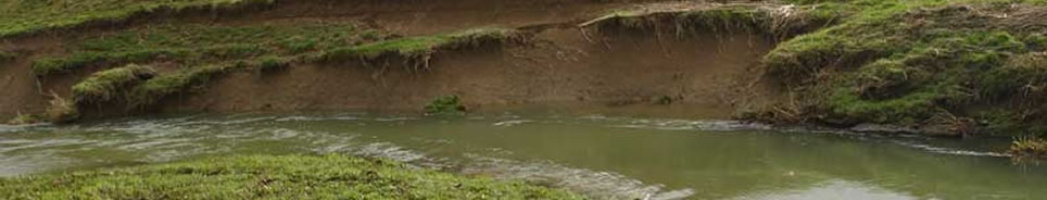 bank_side_erosion_remedy_Kent.jpg