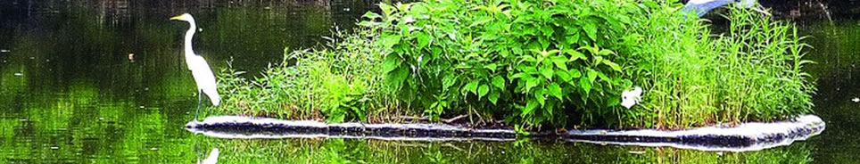floating_island_lake.jpg