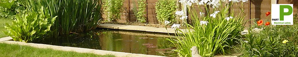 part_p_pond_electricians.jpg