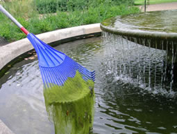 pond_blanket_weed_removal_kent.jpg