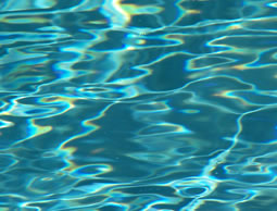 pond_water_filtration.jpg